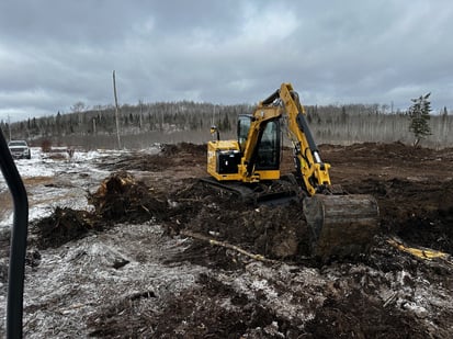 Cat 306
