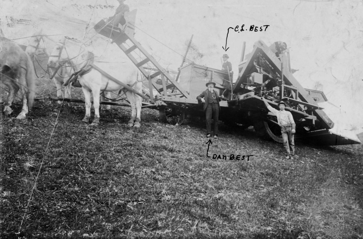 Caterpillar Anglaise : L'Histoire et l'Innovation d'une Légende () Caterpillar Anglaise : L'Histoire et l'Innovation d'une Légende
